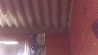 Reina_33 nude on webcam for live porn video chat