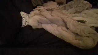 Thickyvixy nude on webcam for live porn video chat
