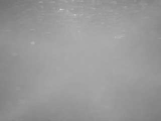 Voyeurcam casa salsa pool 1 nude on webcam for live sex chat