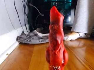 EdgeWuff nude on webcam for live sex chat